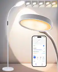 9:41
Power
Brightness 80%
Color Temperature 4500K
Scene
Reading
Relax
Work
Night Light
Timer 30 min
Control
Schedule