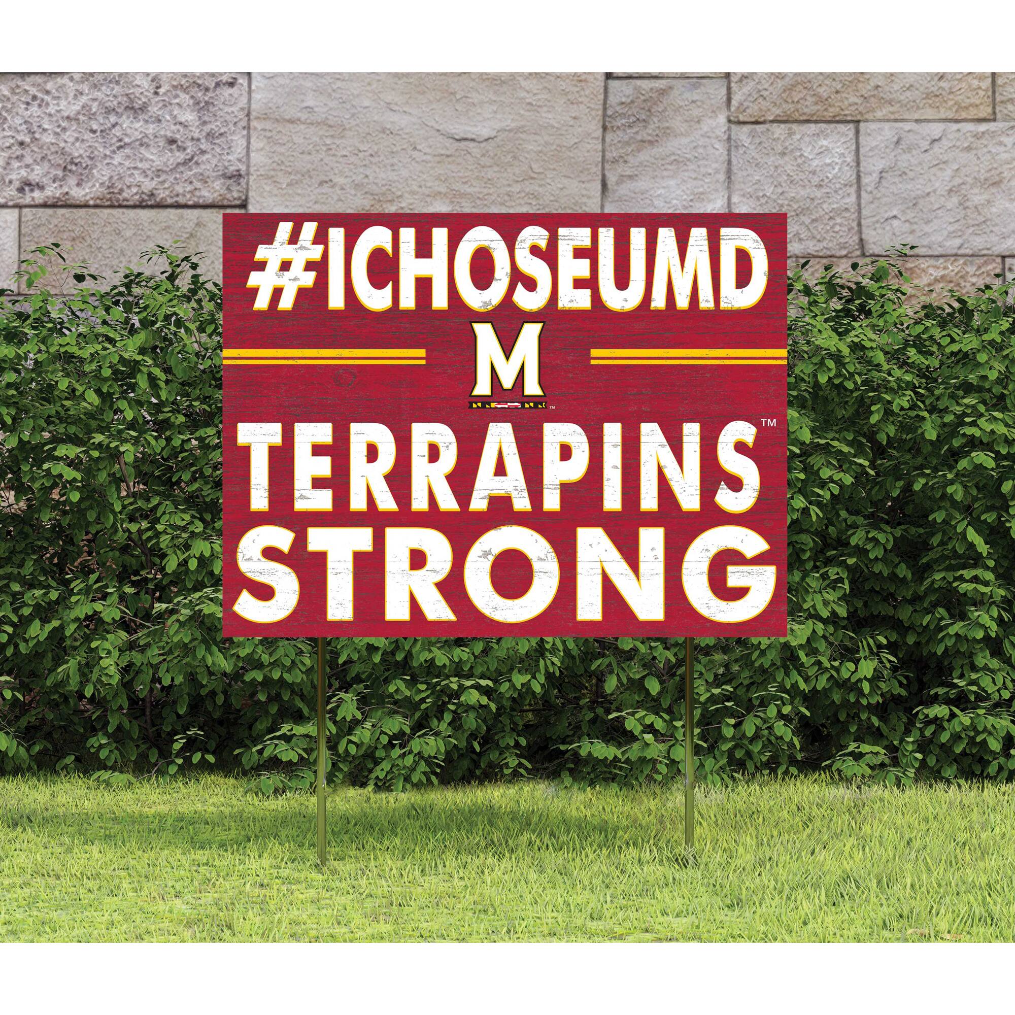 #ICHOOSEUMD  
M  
TERRAPINS  
STRONG