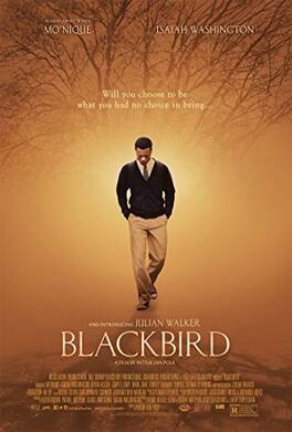 Blackbird - BLU-RAY