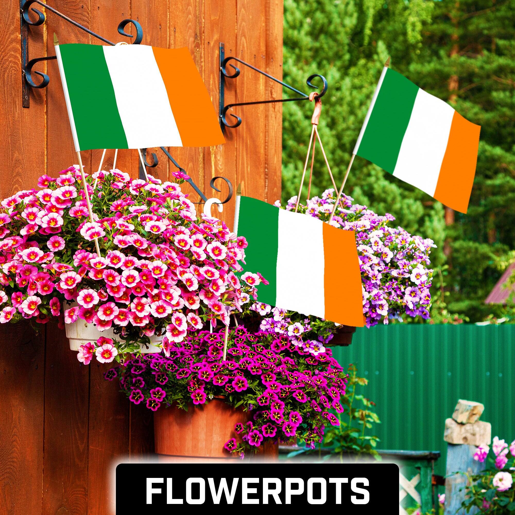 Angle. G128 - 30-Pack Handheld Ireland Flags 12x18 in - Assorted Colors.