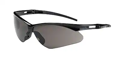 Front. PIP - Bouton Glasses, Anser Black Frame, Gray Lens and Anti-Scratch Coating - Black, Gray.