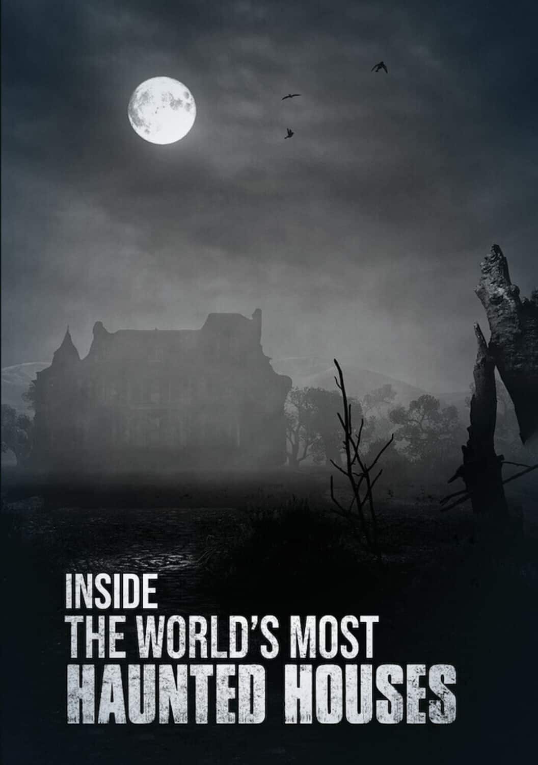 Inside the World's Most Haunted Houses   - DVD price history on PriceWatchPro