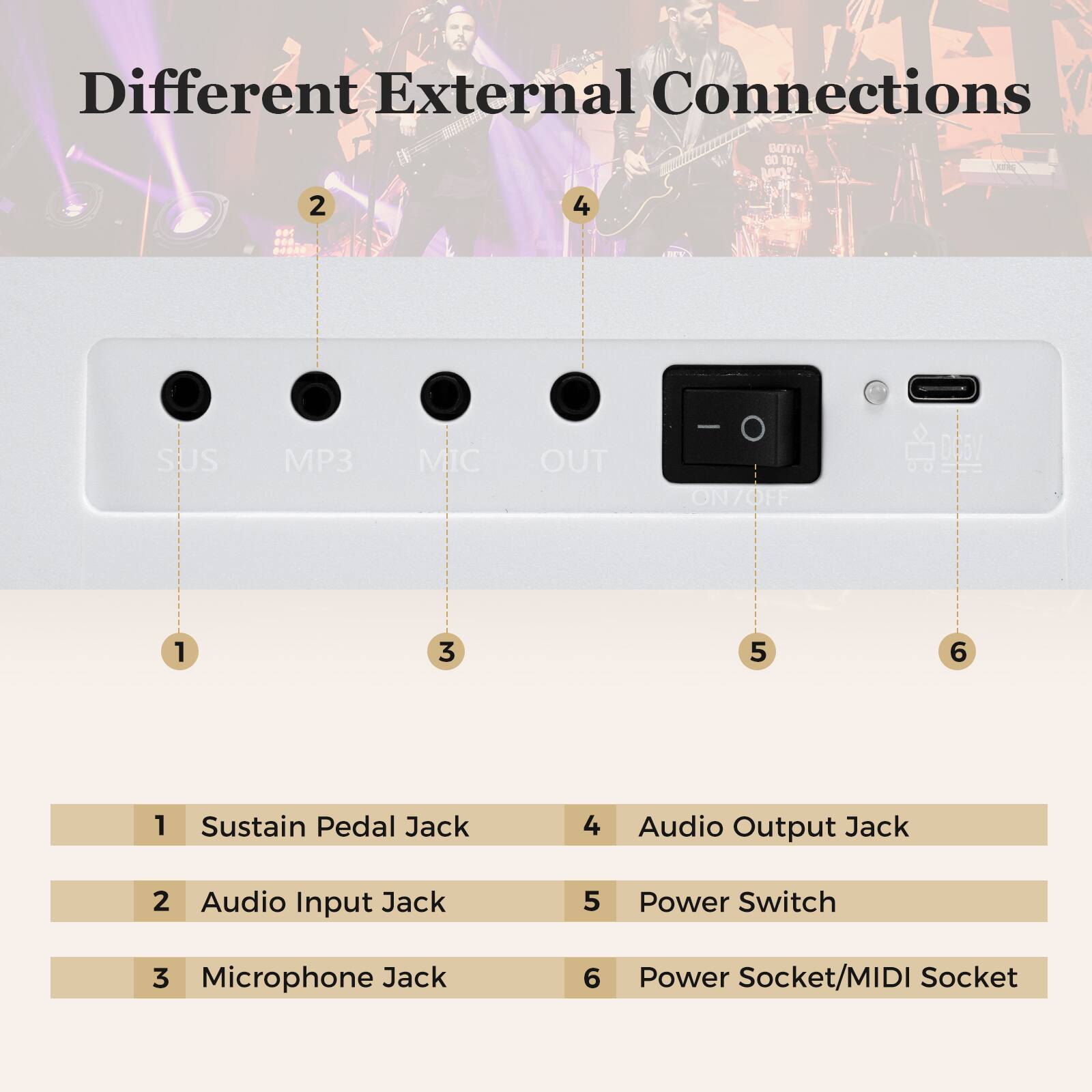 Different External Connections

1. Sustain Pedal Jack
2. Audio Input Jack
3. Microphone Jack
4. Audio Output Jack
5. Power Switch
6. Power Socket/MIDI Socket