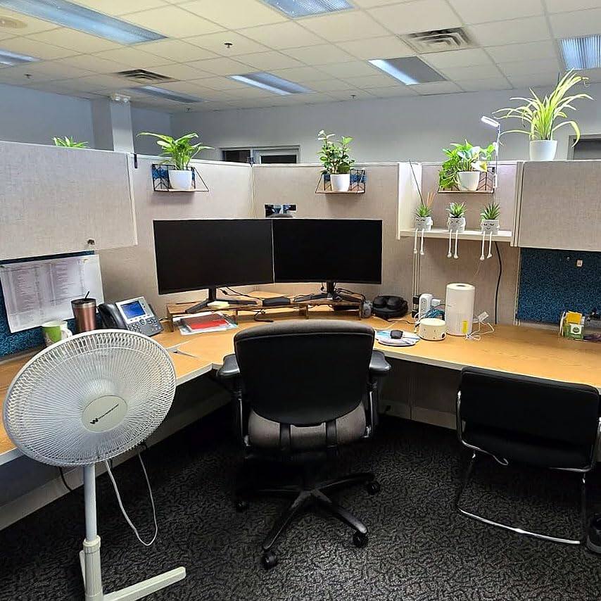 Left. Stamp n Camp - Acrylic Stick-On Security Mirror, Wide Angle Convex Rear View Mirror for Cubicle Desk Computer PC Monitor to See Behind - length  19 X width 8.