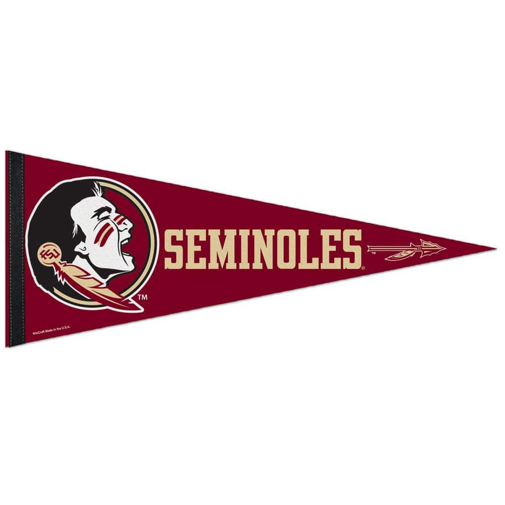 "WinCraft - Florida State Seminoles 12"" x 30"" Premium Pennant - Multicolor" price history on PriceWatchPro
