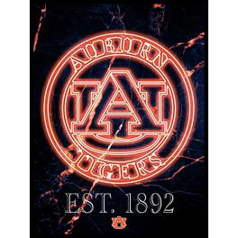 Fan Creations - Auburn Tigers 12'' x 16'' Framed Circle Logo Print - Black