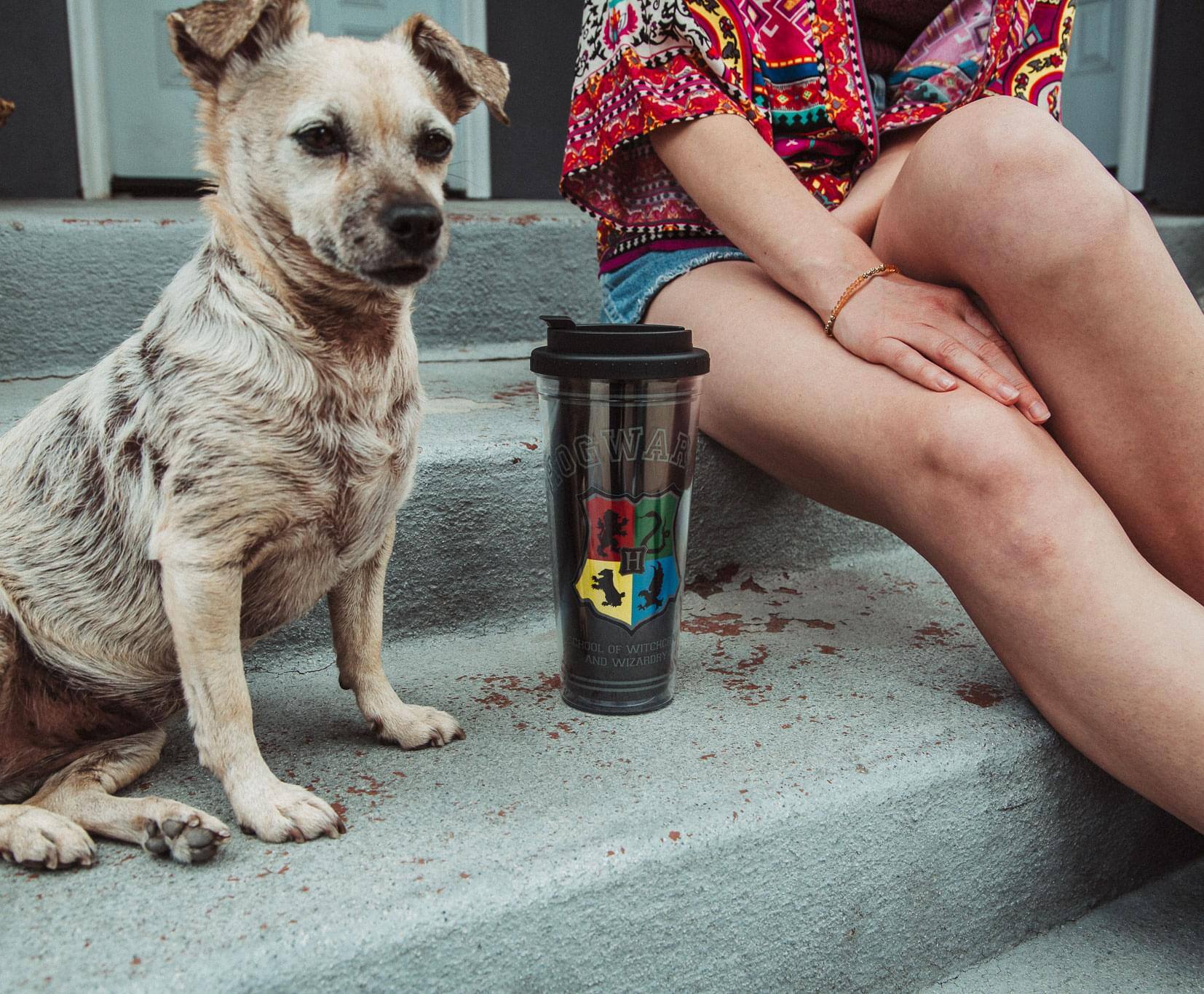 The text on the image reads:

"HOUSE OF WITCHES AND WIZARDRY"