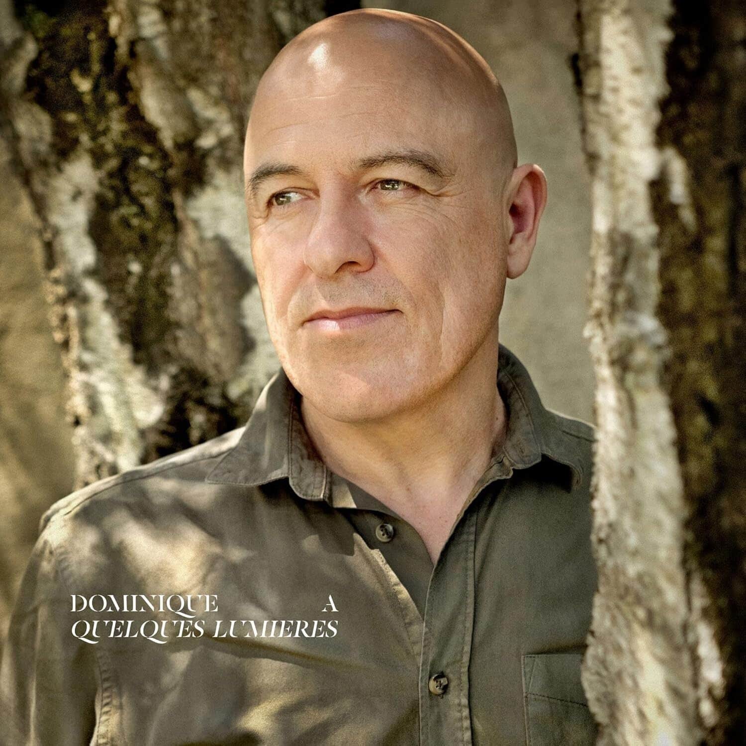 Dominique A - Quelques Lumieres   - VINYL LP price history on PriceWatchPro