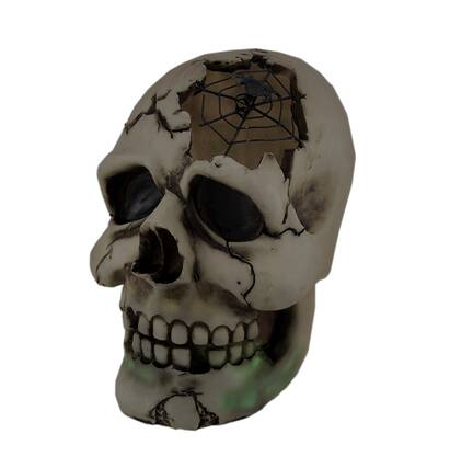 Front. Zeckos - Color Changing LED Lighted Cracked Skull w/Web Statue - Tan.