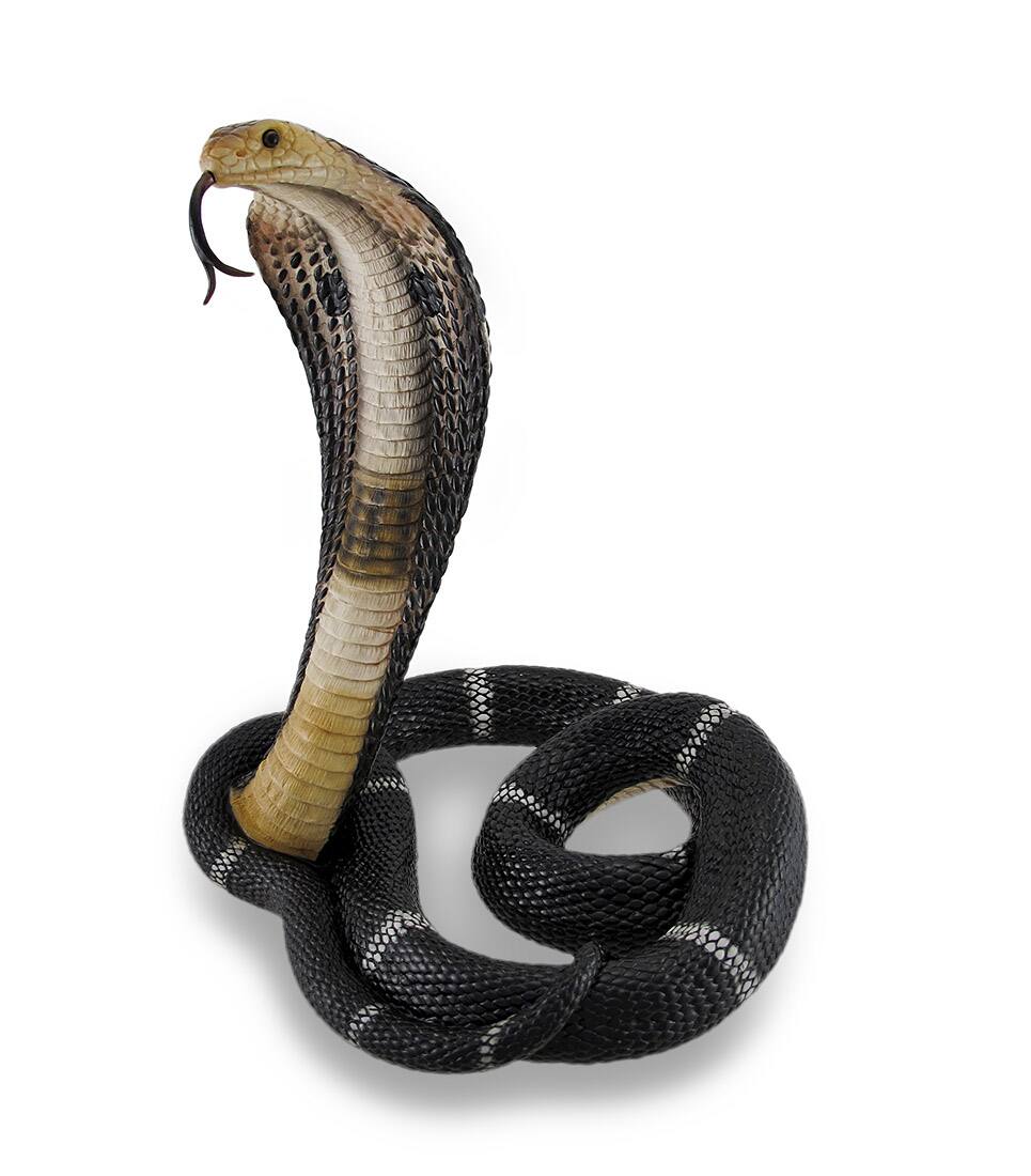 Alt View 1. Veronese Design - Coiled and Rearing King Cobra Sculptured Statue - Multicolored.