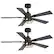 Angle. Breezary - 42-In Indoor Ceiling Fan with Light Kit, 5 Plywood Blades, 6-Speed DC Motor and Remote, Timer, Memory Function(1/2 Pack) - Matte Black (2 Pack).