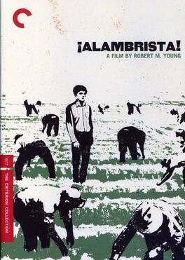 Alambrista! (Criterion Collection) - DVD