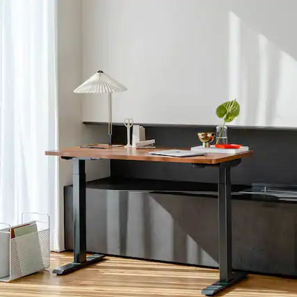 Front. Branch Furniture - Duo Standing Desk 36" – Adjustable Desk with OLED Control Panel, Frameless Design & Compact Footprint - Walnut / Charcoal.
