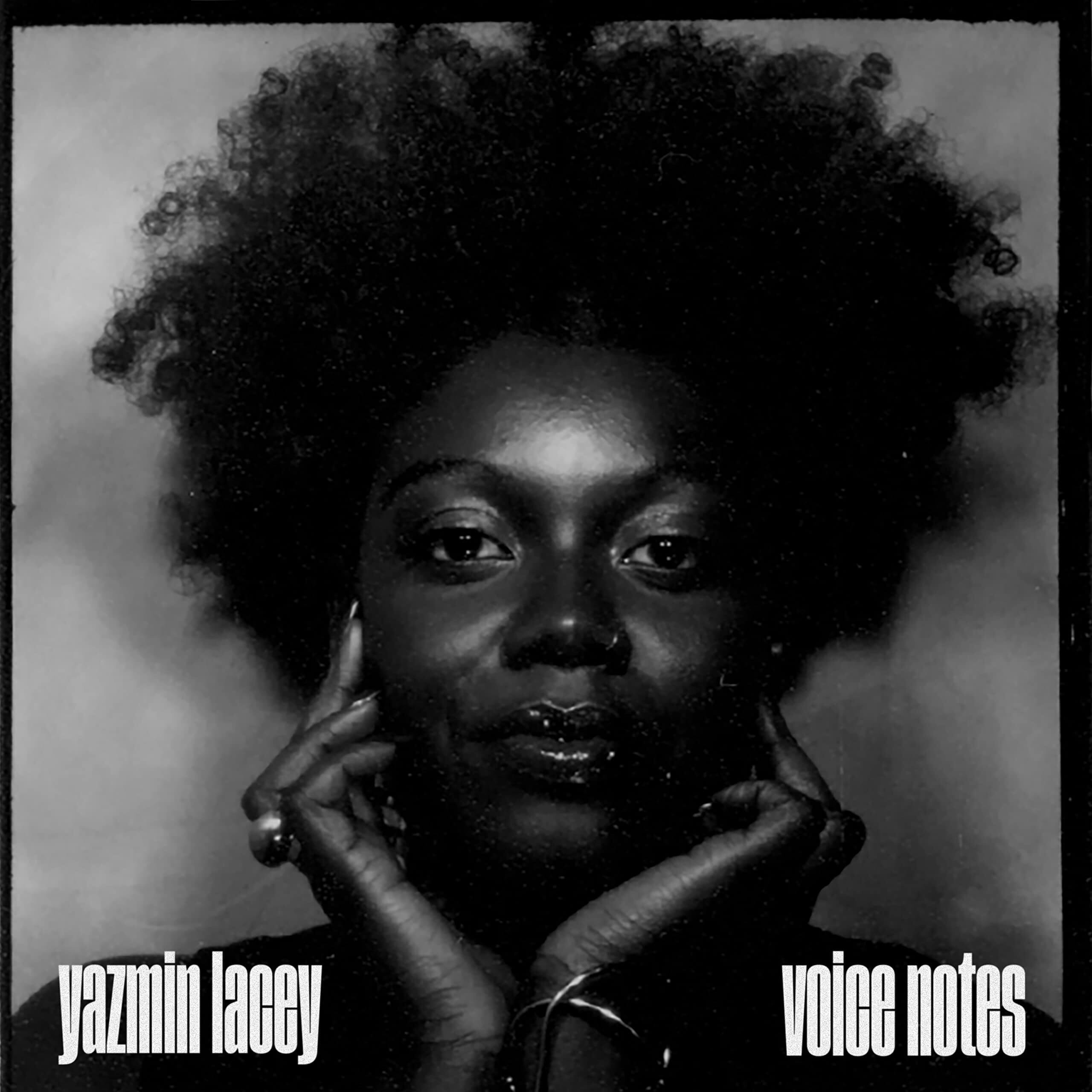 Front. Voice Notes [LP].