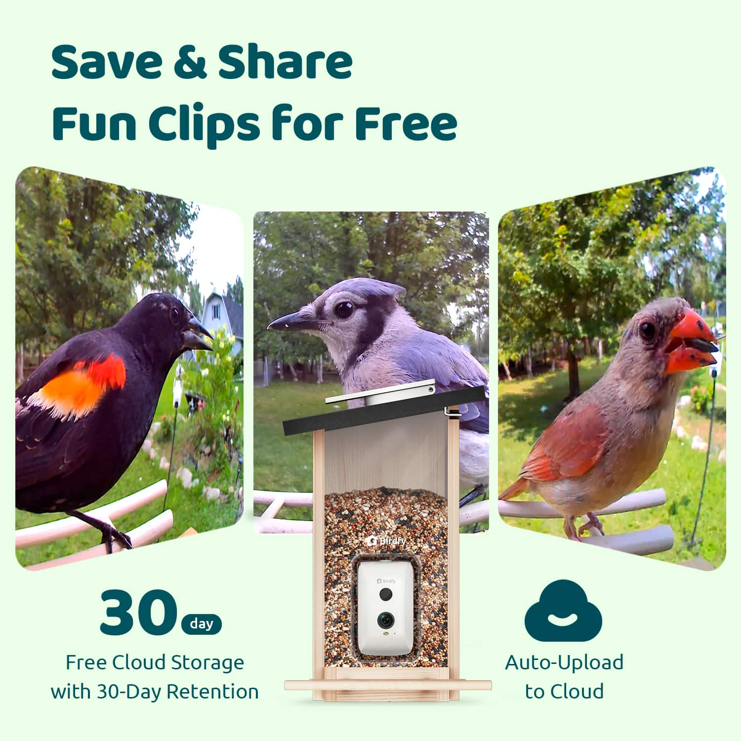 Save & Share Fun Clips for Free: 30 day Free Cloud Storage with 30-Day Retention and Auto-Upload to Cloud.