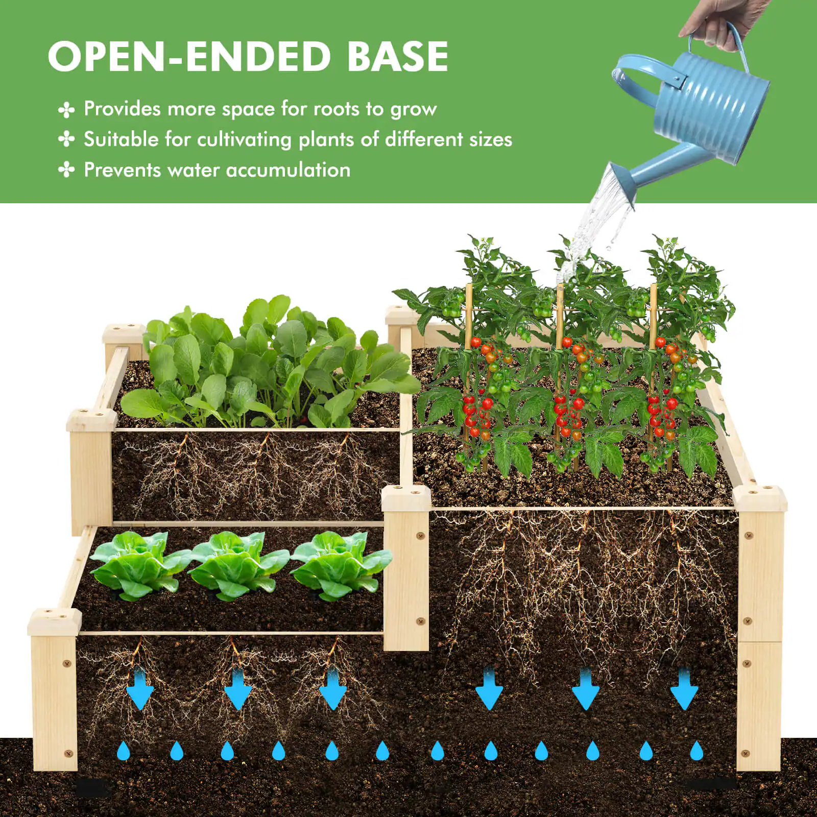 OPEN-ENDED BASE

- Provides more space for roots to grow
- Suitable for cultivating plants of different sizes
- Prevents water accumulation