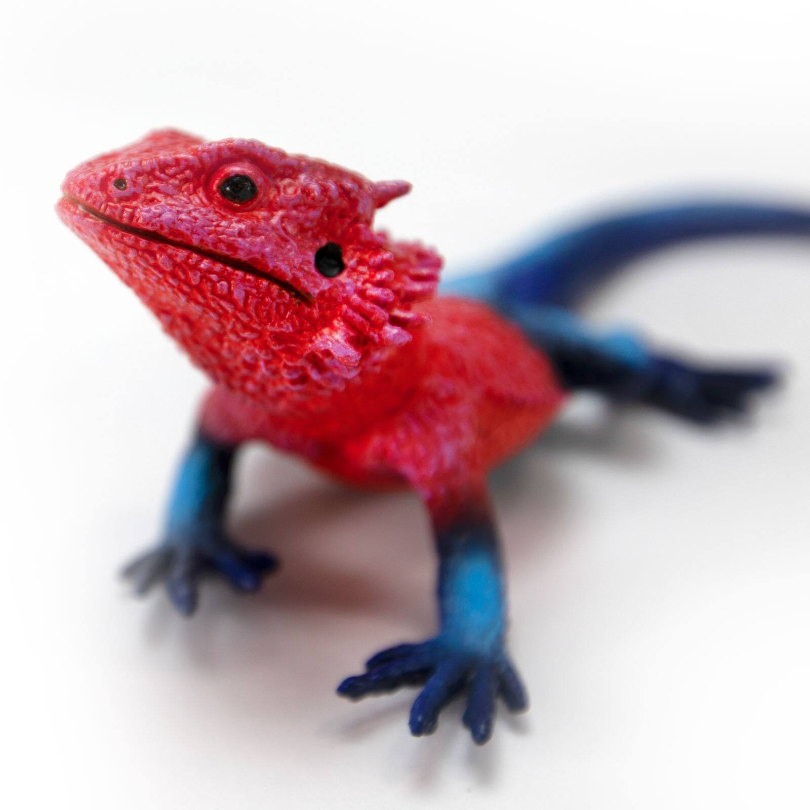 Alt View 3. Safari Ltd. - Mwanza Flat-Headed Rock Agama Toy Figurine.