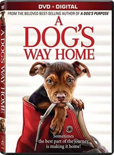 Front. A Dog's Way Home   - DVD.