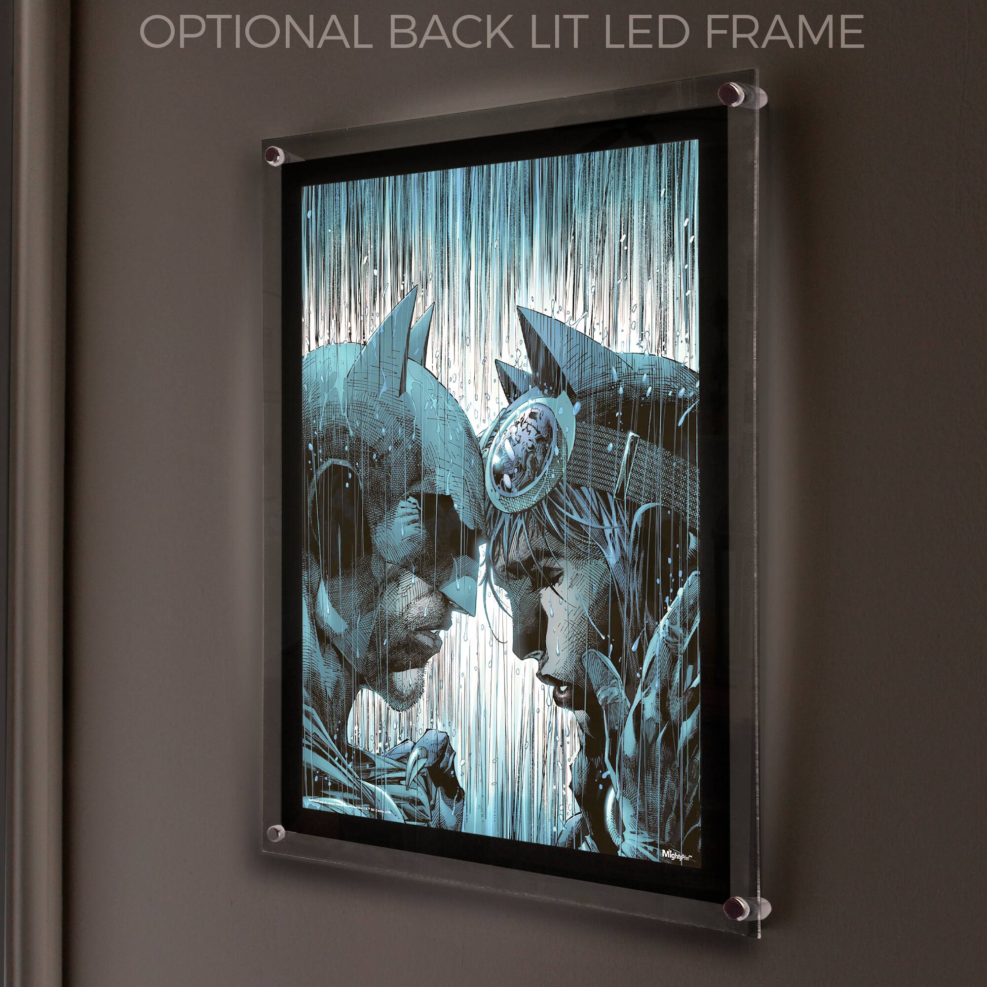 OPTIONAL BACK LIT LED FRAME