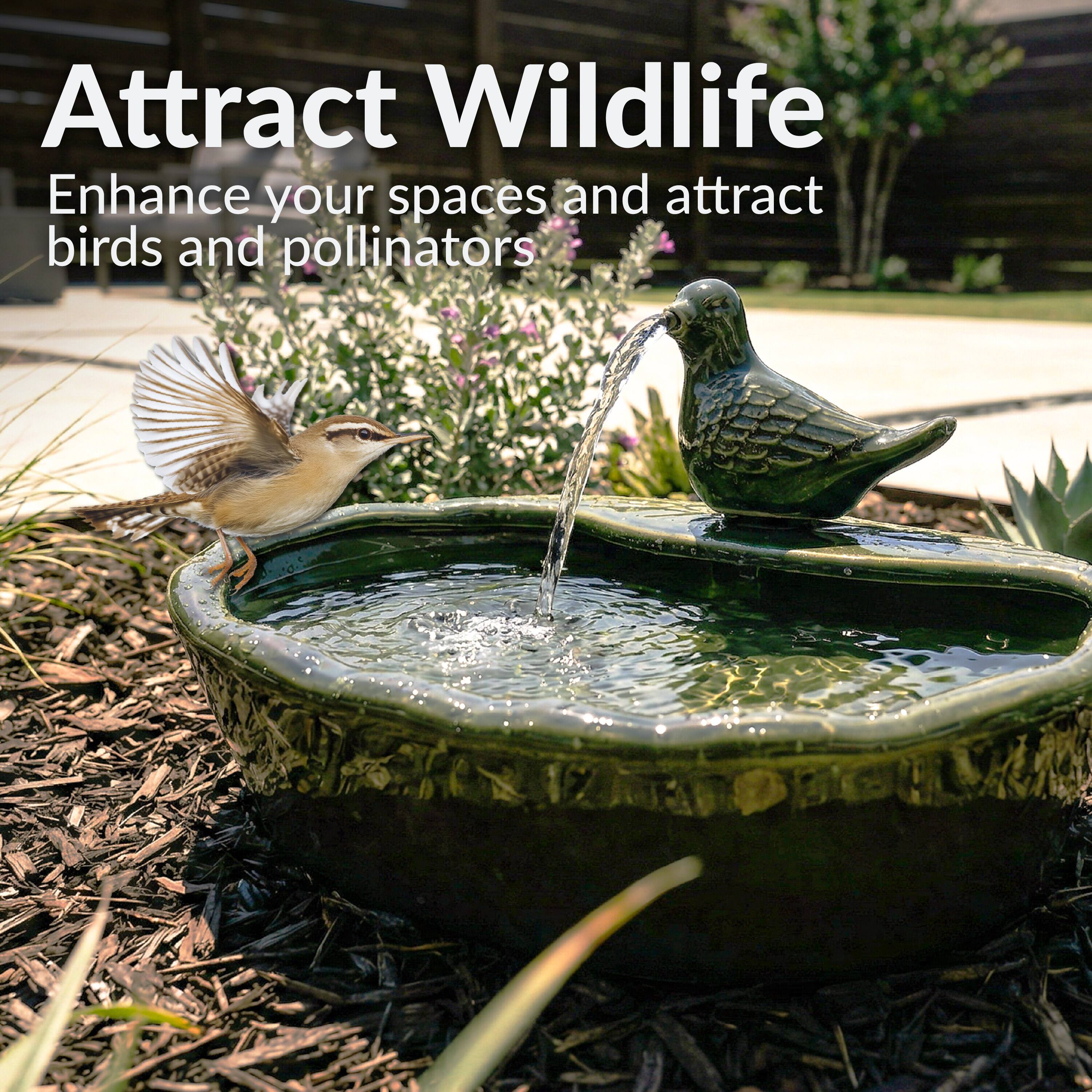 Attract Wildlife  
Enhance your spaces and attract birds and pollinators
