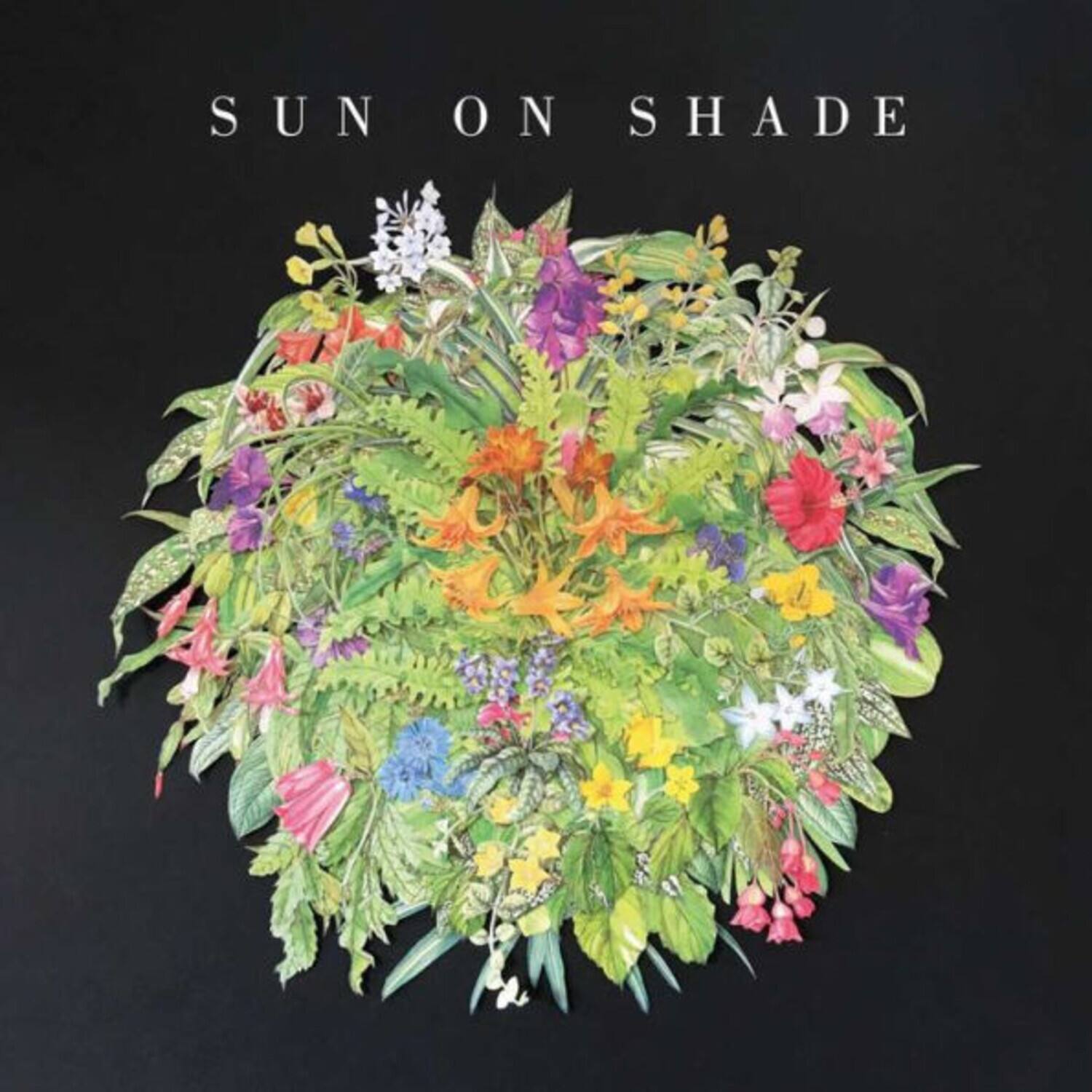 SUN ON SHADE