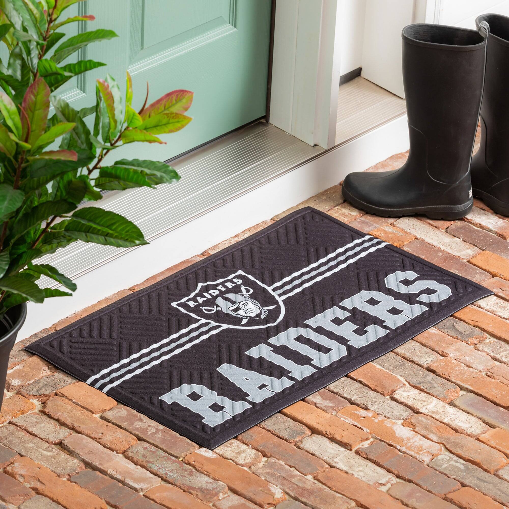 RAIDERS