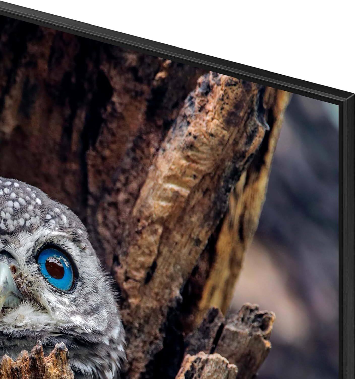 Angle. Samsung - Samsung QN75Q80DDFXZA 75" QLED 4K Smart TV with Direct Full Array (2024).