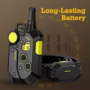 Long-Lasting Battery

PATPET CO00 00 16

PATPET