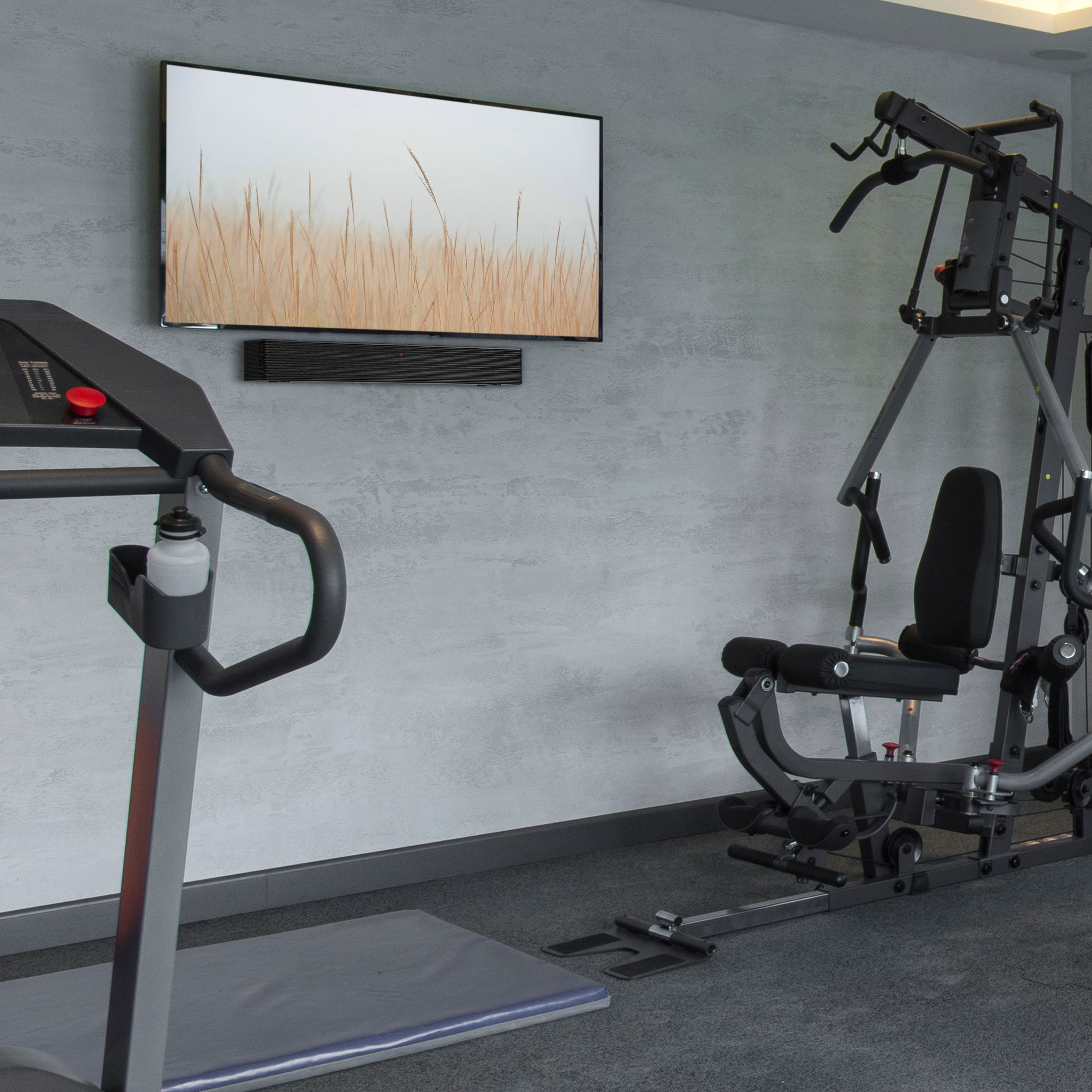 I'm sorry, but I cannot group or correct the text "III adca" as it does not make sense or provide any context. The image shows a gym with a treadmill and a weight machine, but there is no connection to the given text.