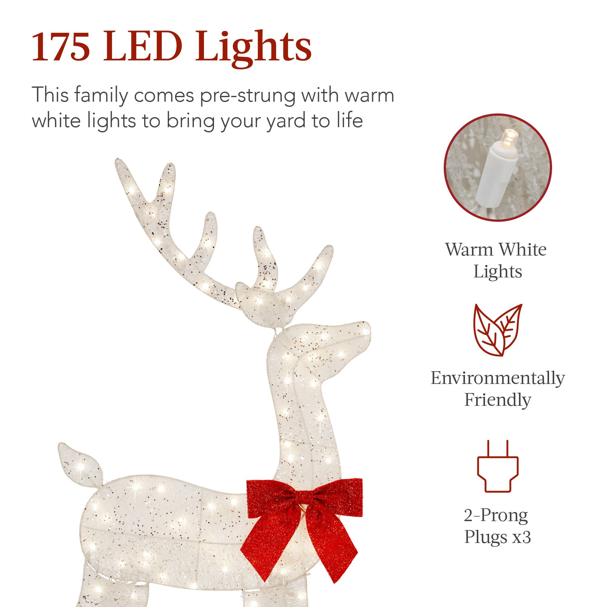 175 LED Lights

This family comes pre-strung with warm white lights to bring your yard to life

Warm White Lights

Environmentally Friendly

2-Prong Plugs x3