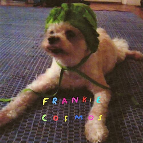 Frankie Cosmos - Zentropy   - VINYL LP price history on PriceWatchPro
