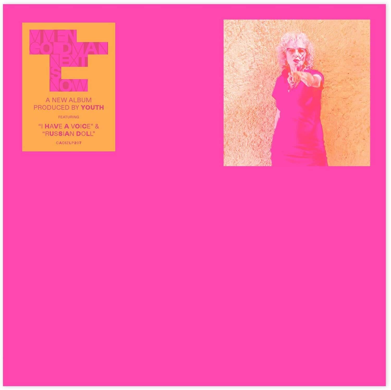 Vivien Goldman - Next Is Now   - VINYL LP price history on PriceWatchPro