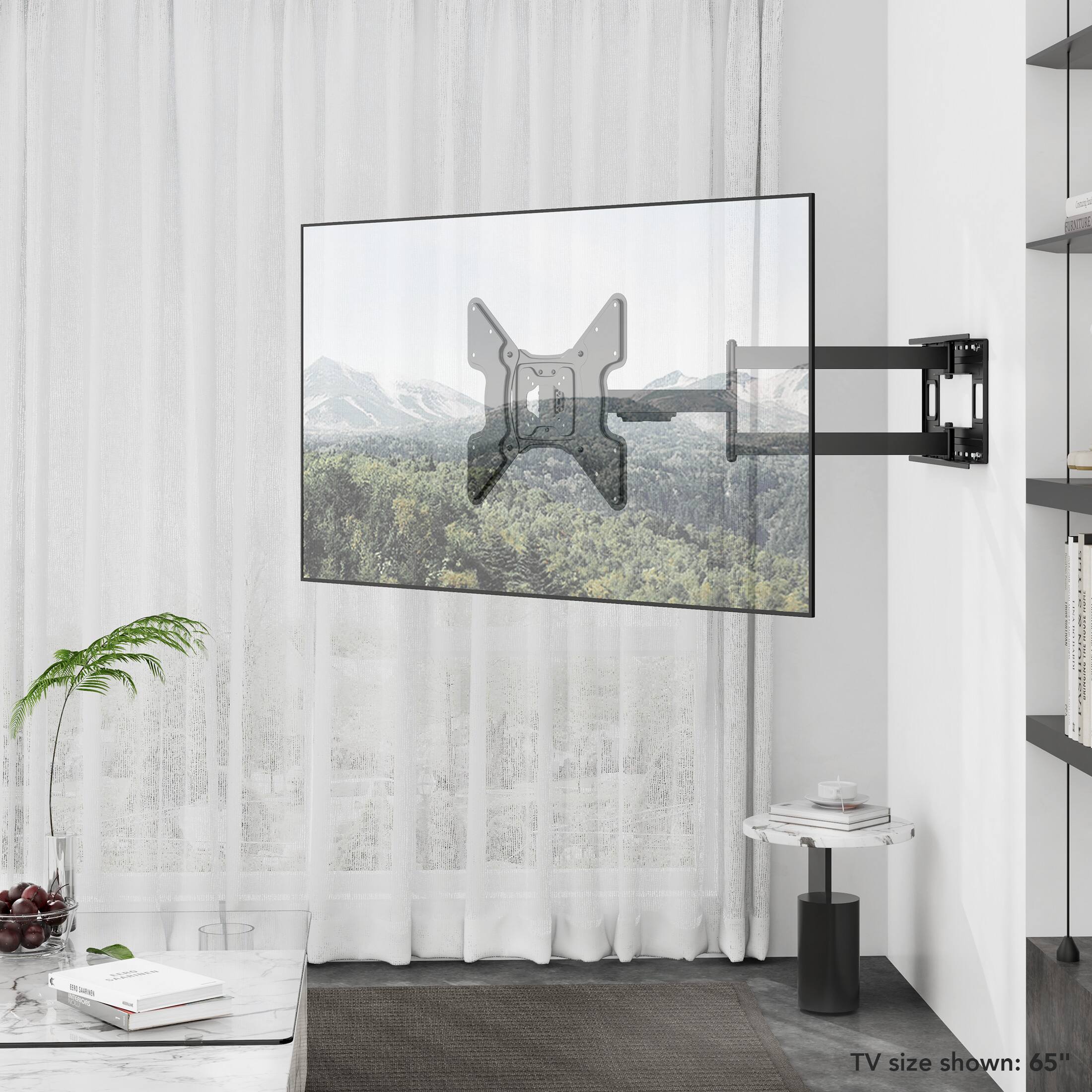 TV size shown: 65"