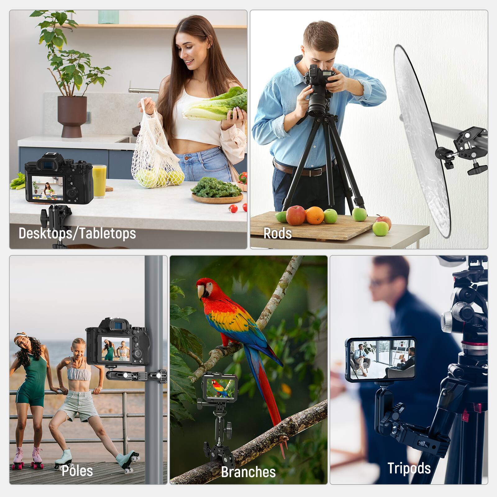 Desktops/Tabletops  
Rods  
Poles  
Branches  
Tripods