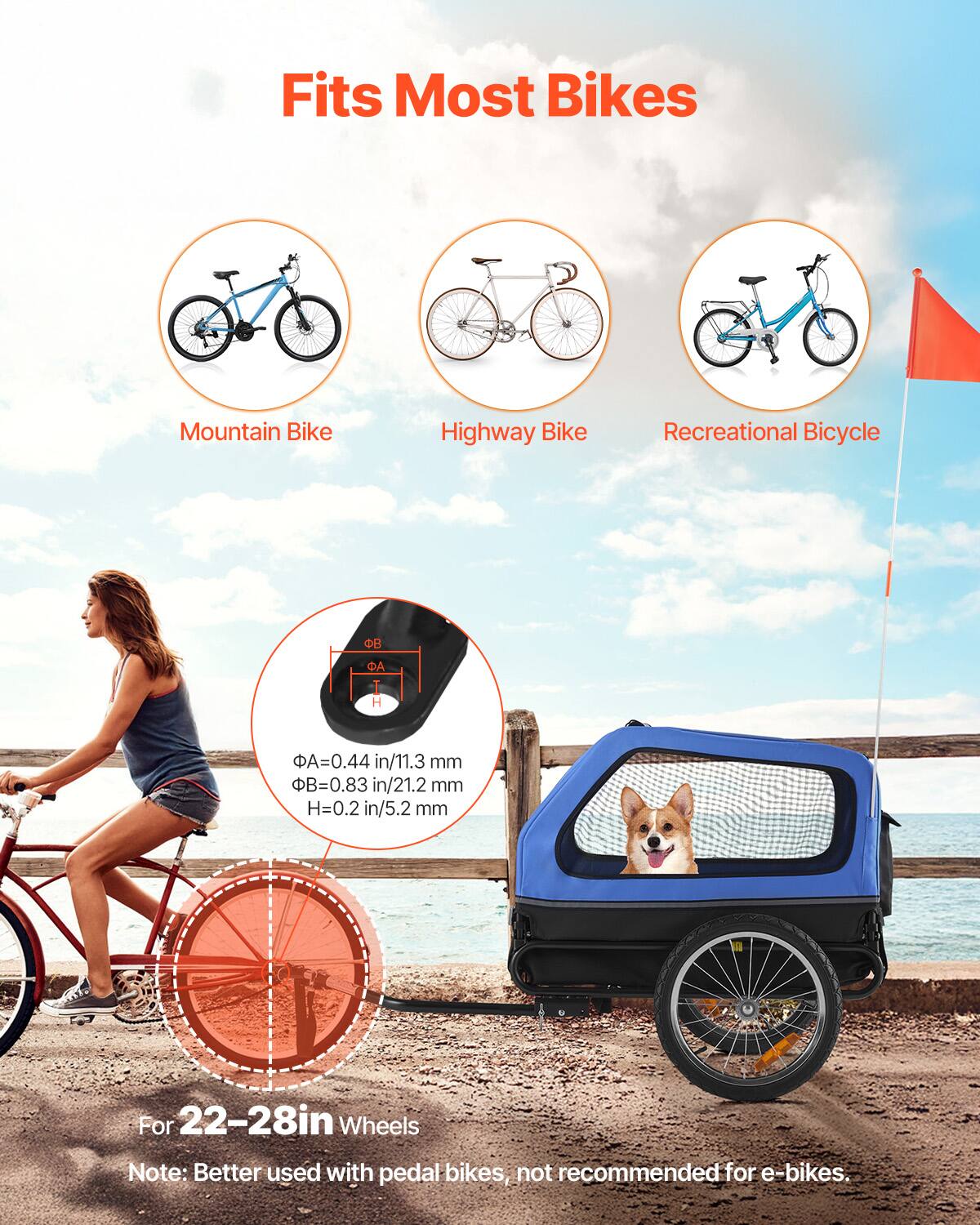 Fits Most Bikes  
Mountain Bike  
Highway Bike  
Recreational Bicycle  

ΦA = 0.44 in / 11.3 mm  
ΦB = 0.83 in / 21.2 mm  
H = 0.2 in / 5.2 mm  

For 22-28in Wheels  

Note: Better used with pedal bikes, not recommended for e-bikes.