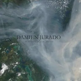 Damien Jurado - Caught in the Trees - VINYL LP
