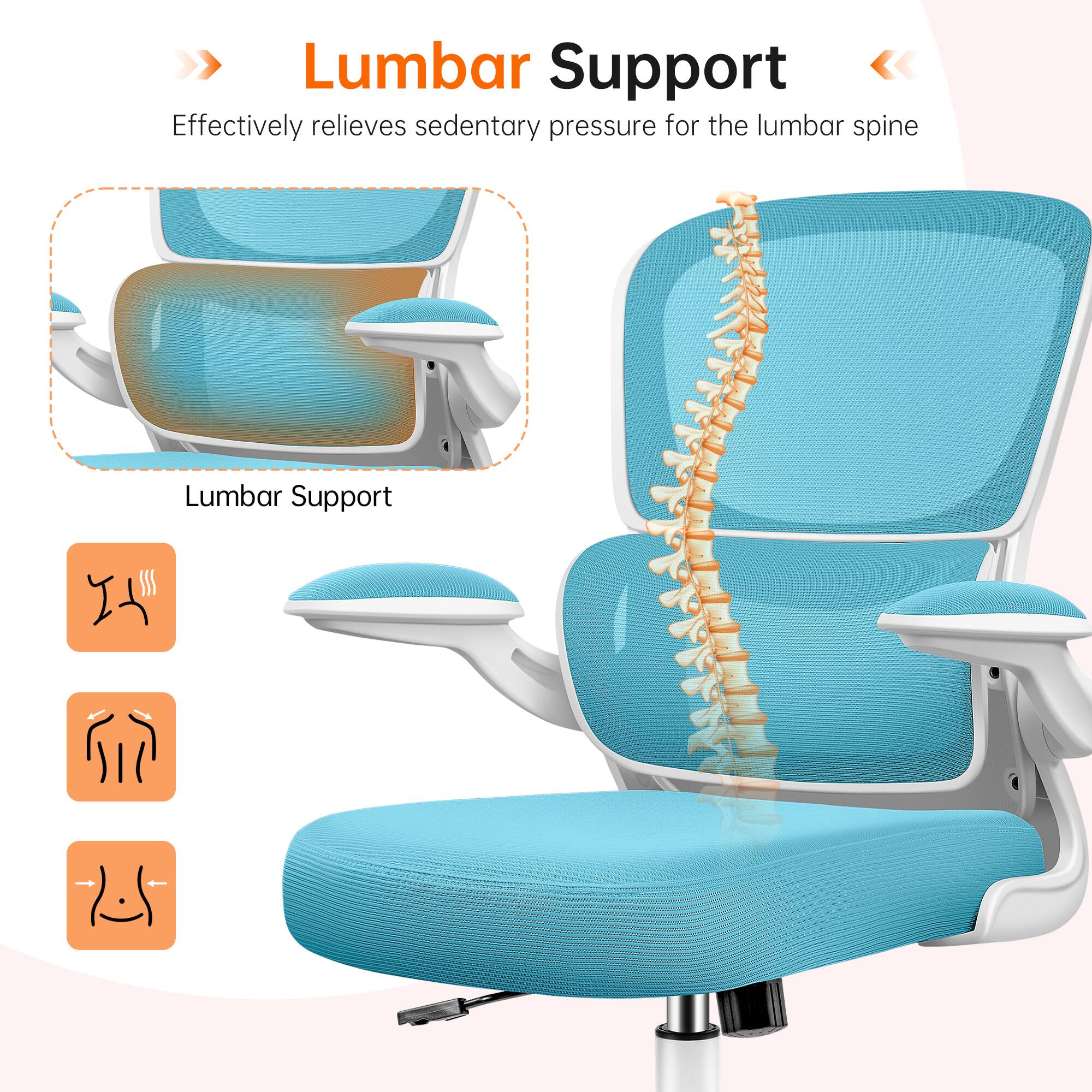Lumbar Support  
Effectively relieves sedentary pressure for the lumbar spine