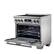 Alt View 2. Forno Appliances - Maximus 5.36 Cu. Ft. Freestanding Electric Induction Range with Air Fryer - Stainless Steel.