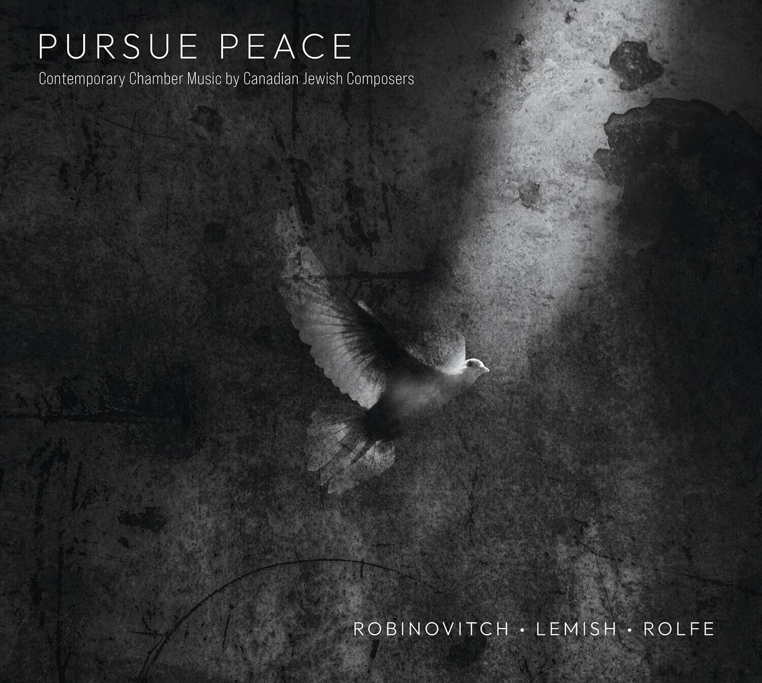 Amy Hillis Pursue Peace Contemporary Chamber Music by Canadian Jewish ...