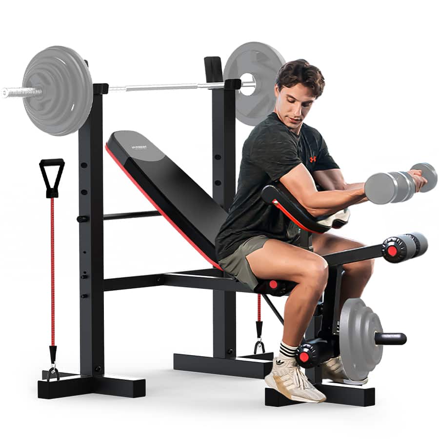 HARISON - 6in1 Weight Bench Set with Leg Extension & Preacher Curl,660LB Workout Bench Press Rack for Home Gym (BBG30813) - Black price history on PriceWatchPro