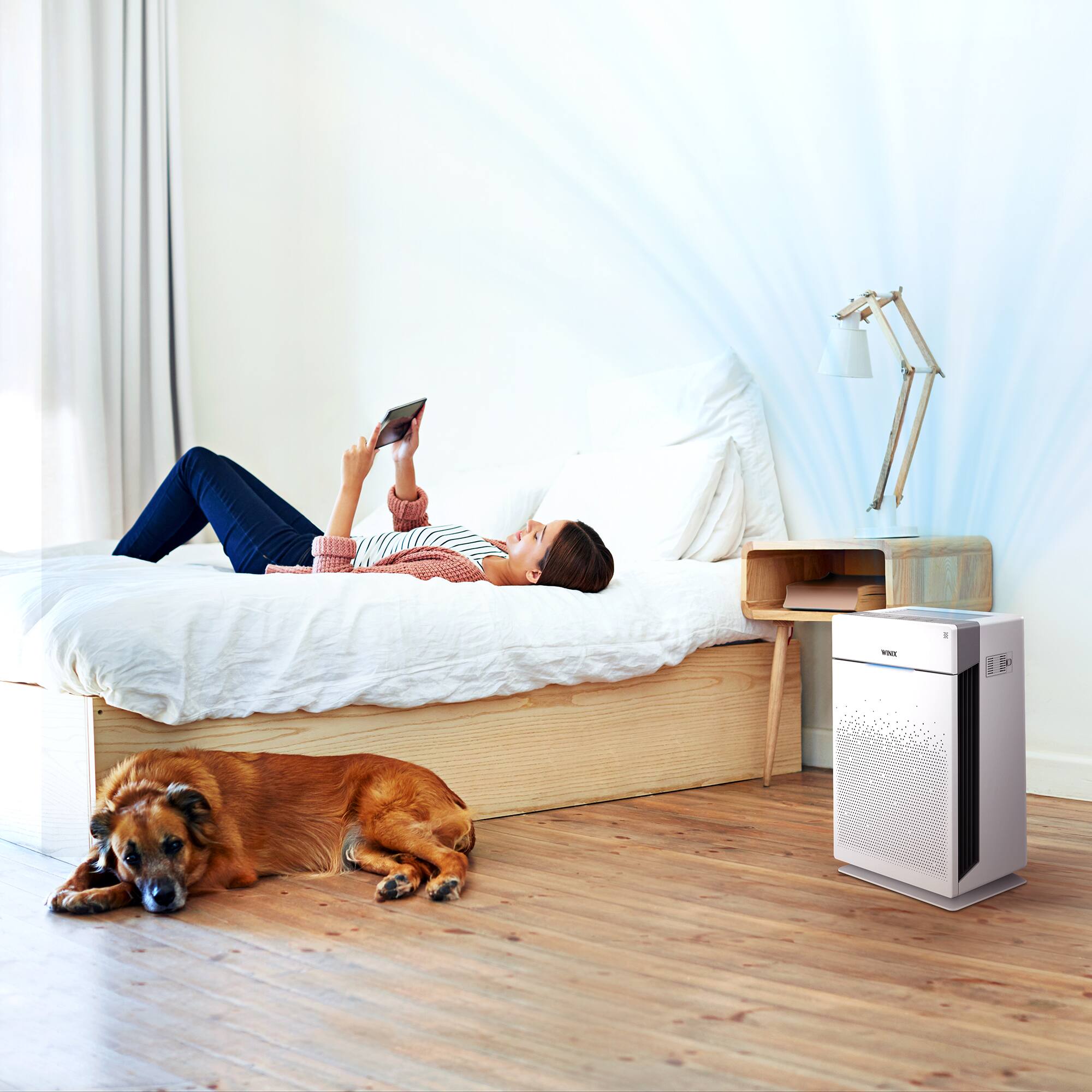 Winix HR900, Ultimate Pet 5 Stage True HEPA Filtration Air Purifier (O2) online