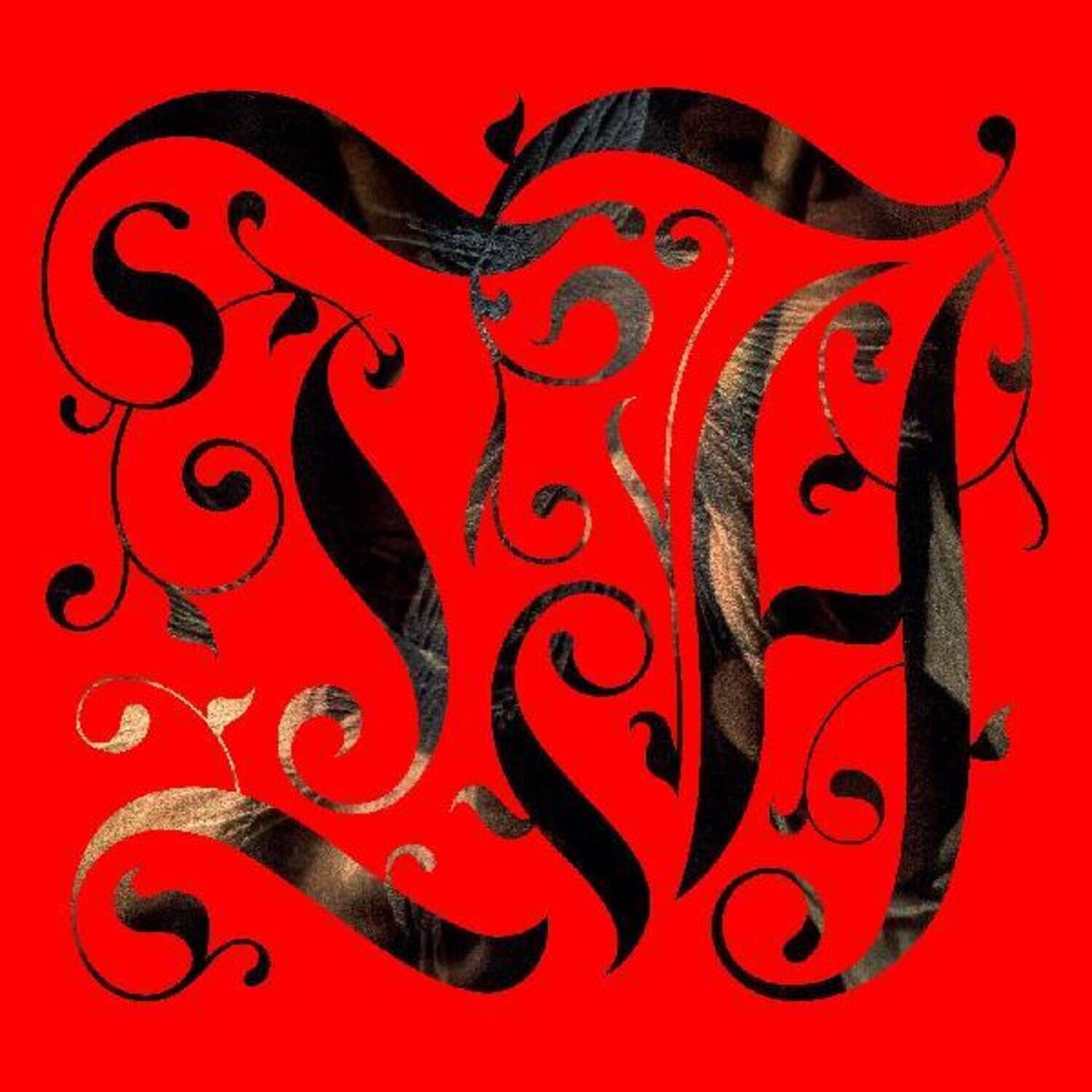 Front. Lord Spikeheart - The Adept   - VINYL LP.