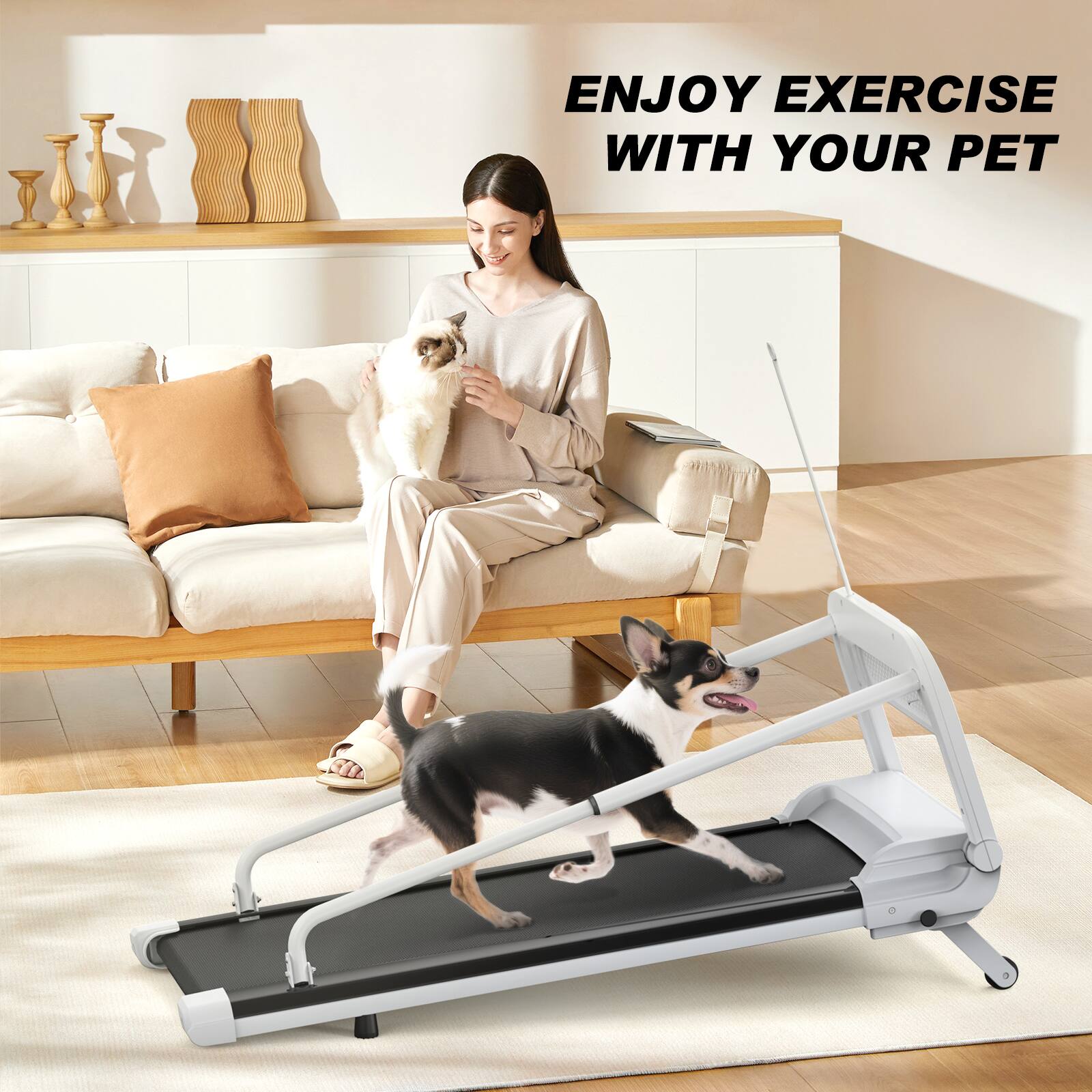 ENJOY EXERCISE WITH YOUR PET