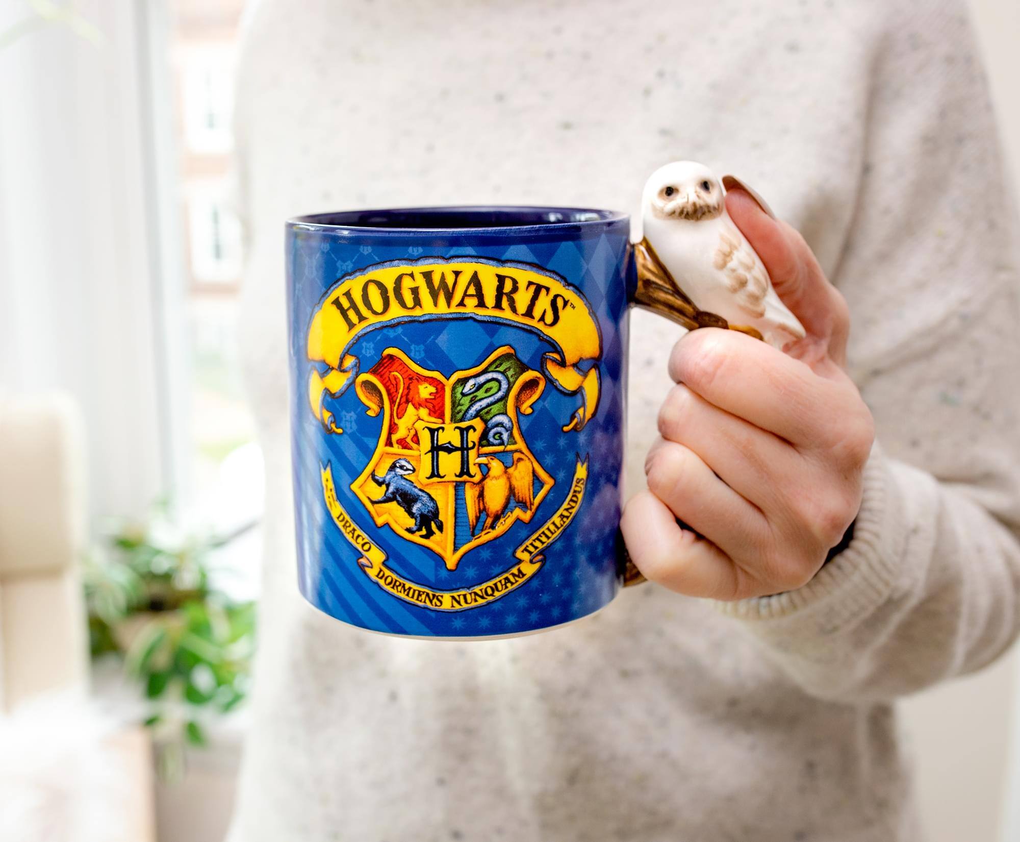 HOGWARTS  
H  
DRACO TITILLANDUS  
DORMIENS NUNQUAM