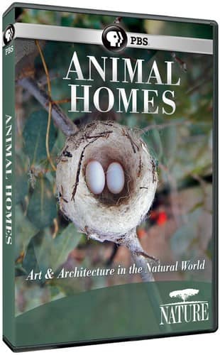 Nature: Animal Homes  - DVD