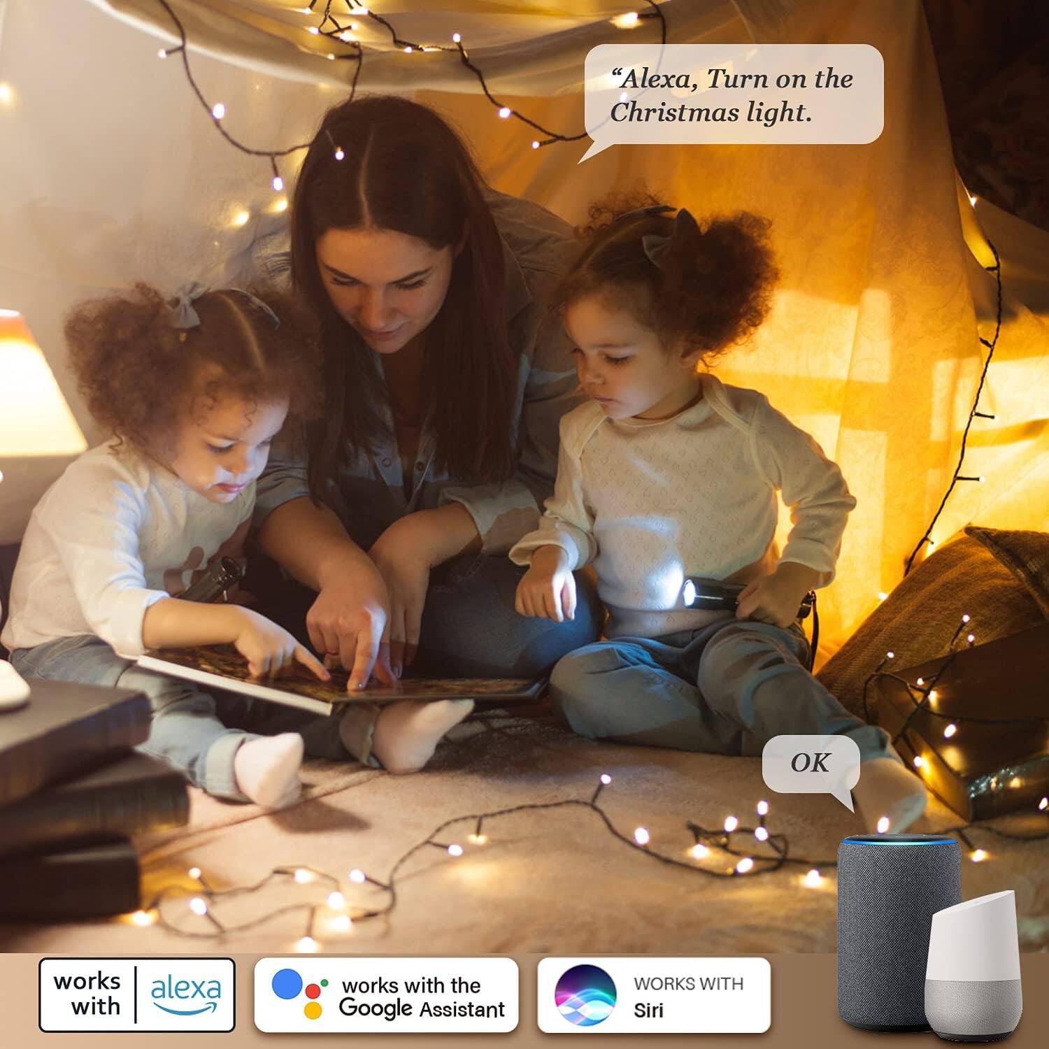 "Alexa, Turn on the Christmas light.

OK

works with Alexa

works with the Google Assistant

WORKS WITH Siri"