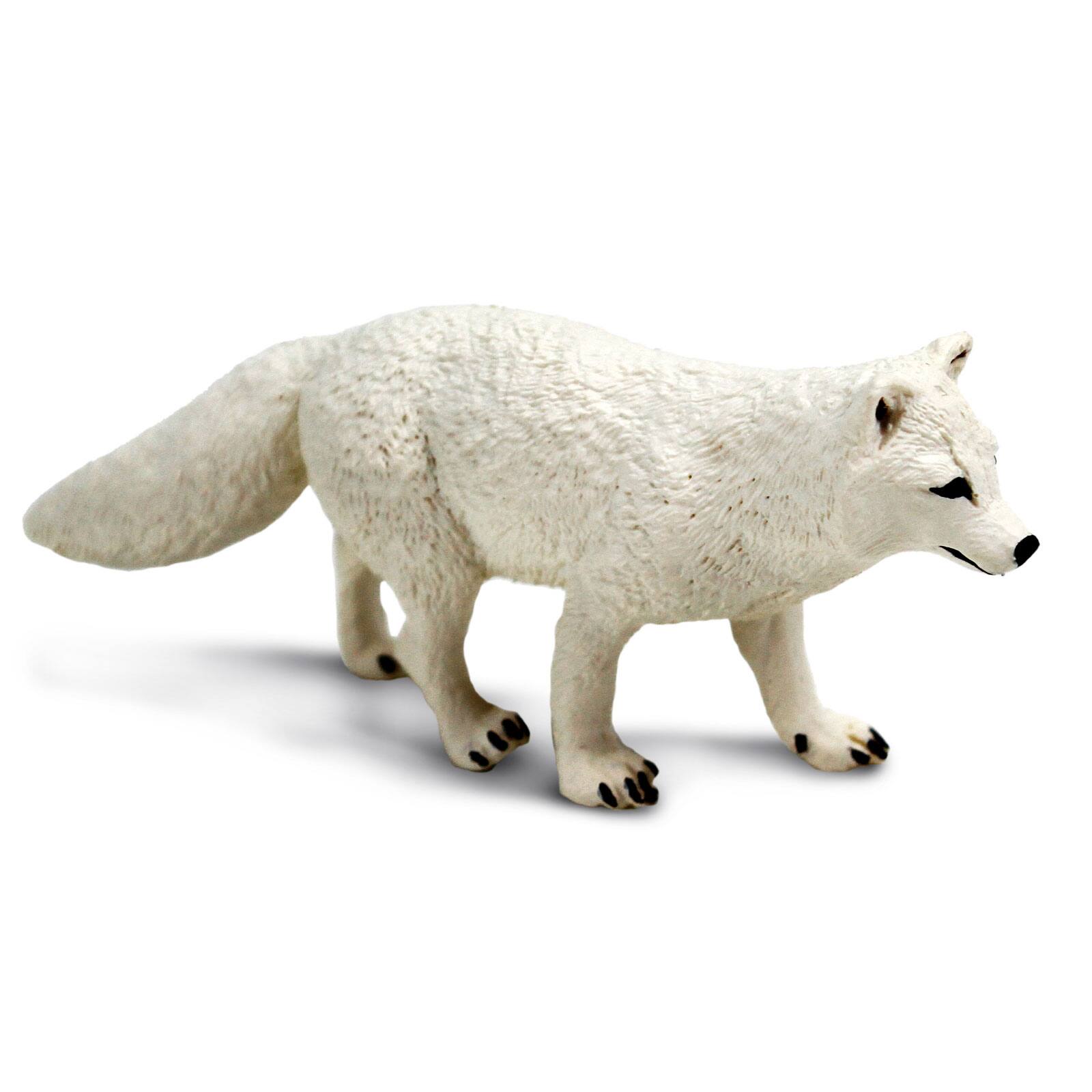 Back. Safari Ltd. - Arctic Fox.