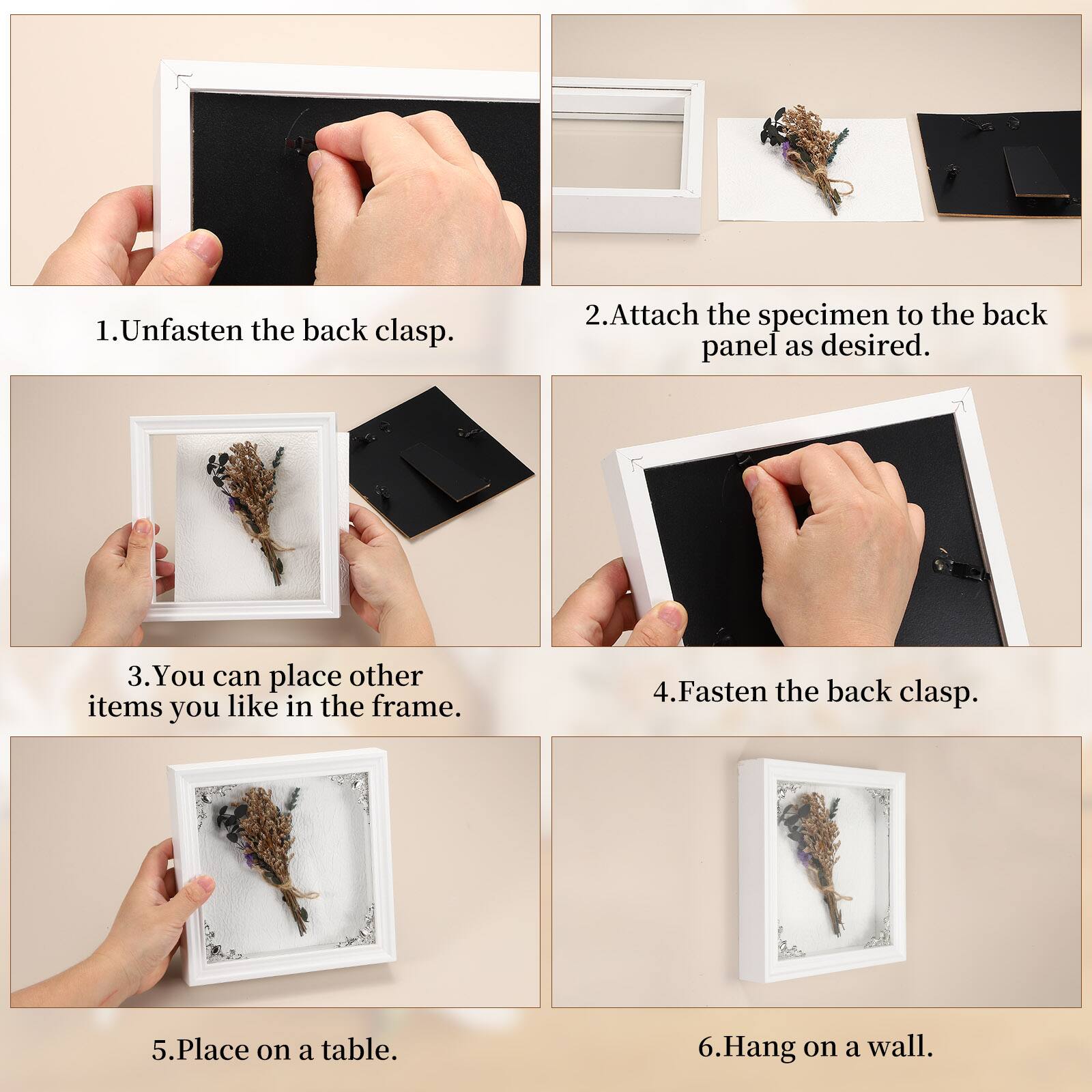 1. Unfasten the back clasp.
2. Attach the specimen to the back panel as desired.
3. You can place other items you like in the frame.
4. Fasten the back clasp.
5. Place on a table.
6. Hang on a wall.