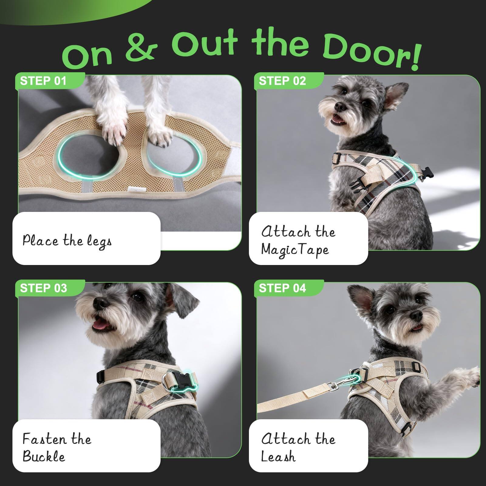 On & Out the Door!

STEP 01  
Place the legs

STEP 02  
Attach the Magic Tape

STEP 03  
Fasten the Buckle

STEP 04  
Attach the Leash