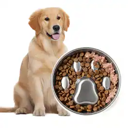 PawsPik - Stainless Steel Four-Ridge Slow Feeder Dog Bowl - Silver